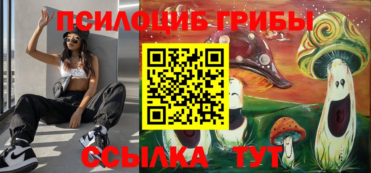 Псилоцибиновые грибы Psilocybe  Вход с VPN  Псилоцибиновые грибы Magic Shrooms  Аргун 