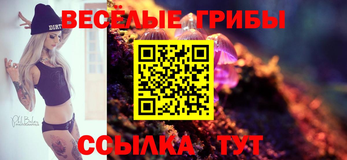 Галлюциногенные грибы Psilocybine cubensis Аргун